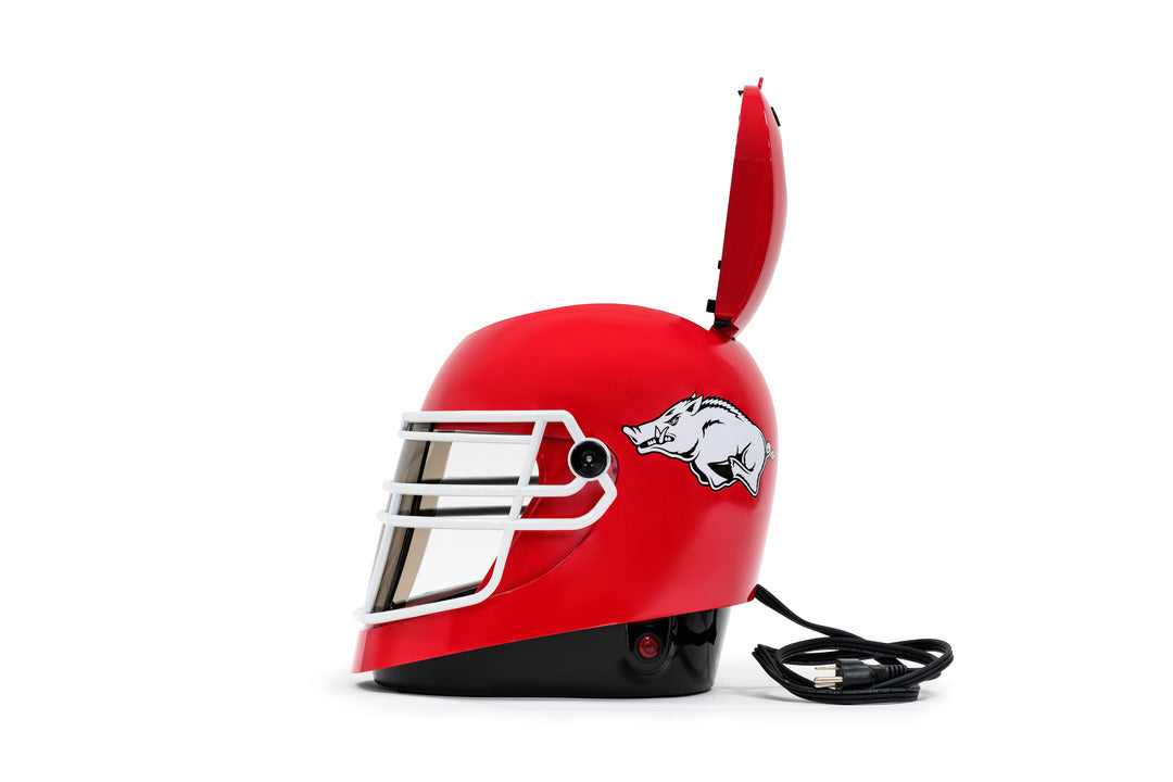 Arkansas Razorbacks