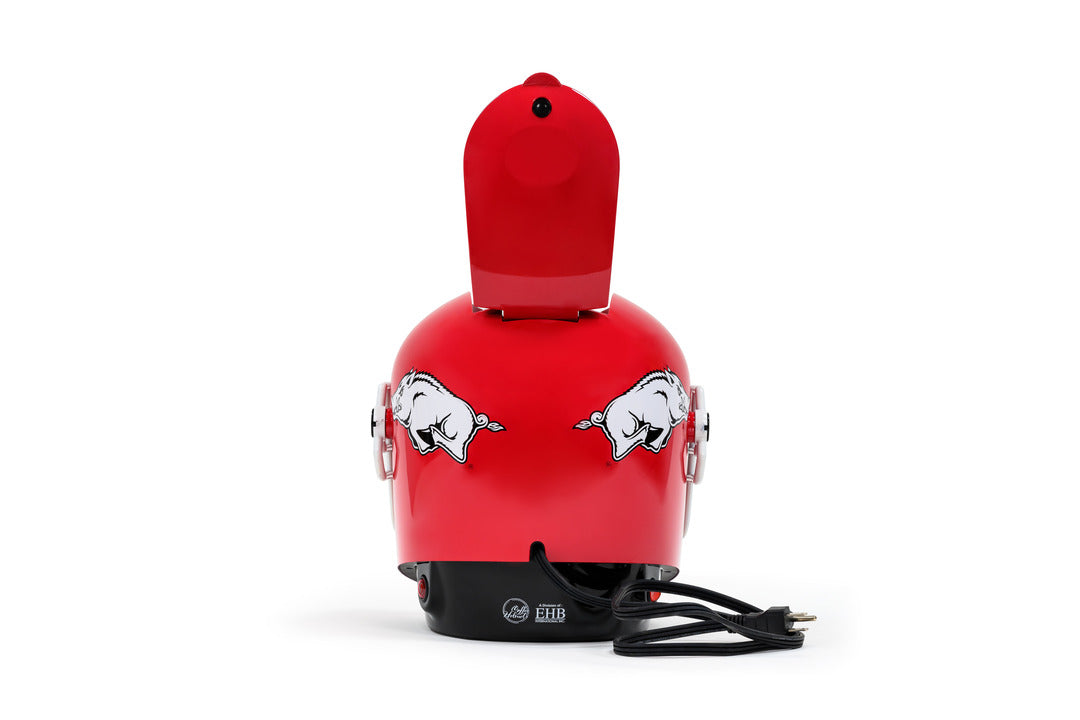 Arkansas Razorbacks University of Arkansas